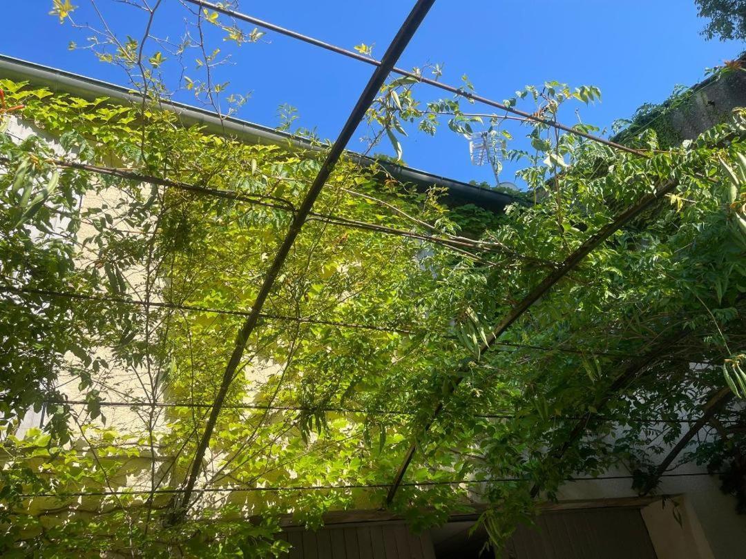 La Cartagene - Chambre Double Calvisson Zewnętrze zdjęcie